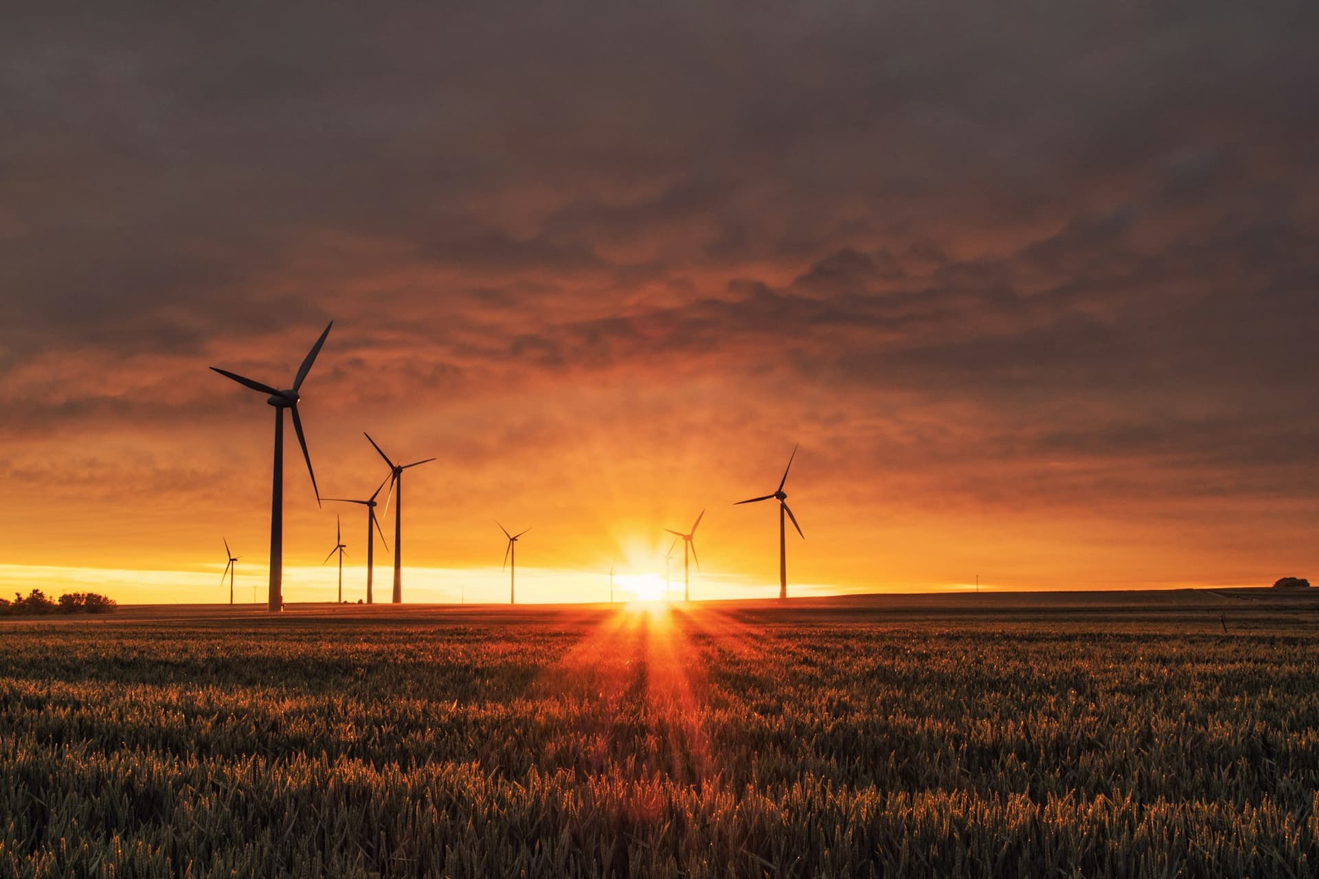 Renewable energy and sustainability